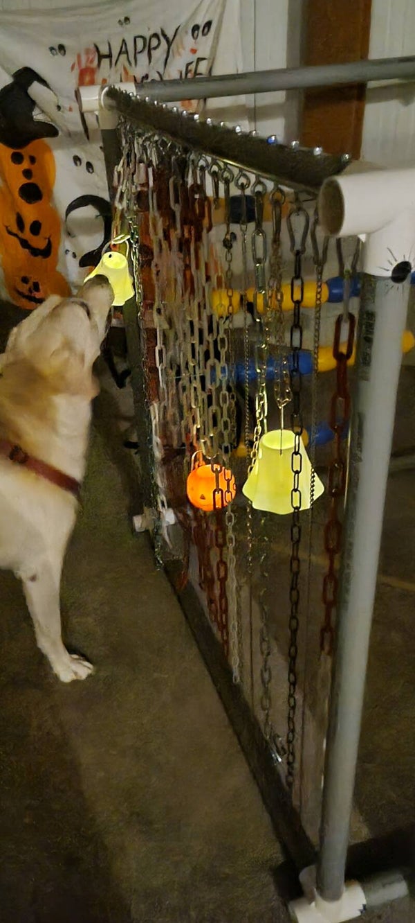 🎃👻Reserveren Halloween Snuffel Avontuur (Basis)🧟🕯️ op Donderdag 29 oktober 2026.