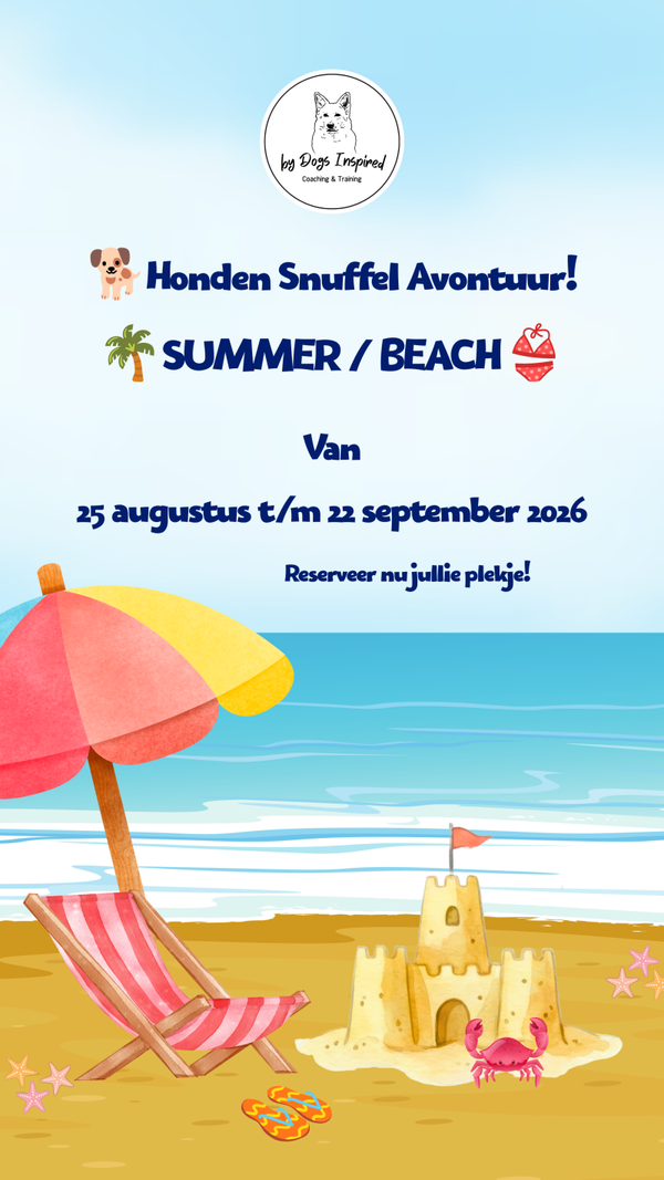 🌴🩴Summer/Beach Snuffel Avontuur (Basis)🍹🦀 op 28 augustus 2026.