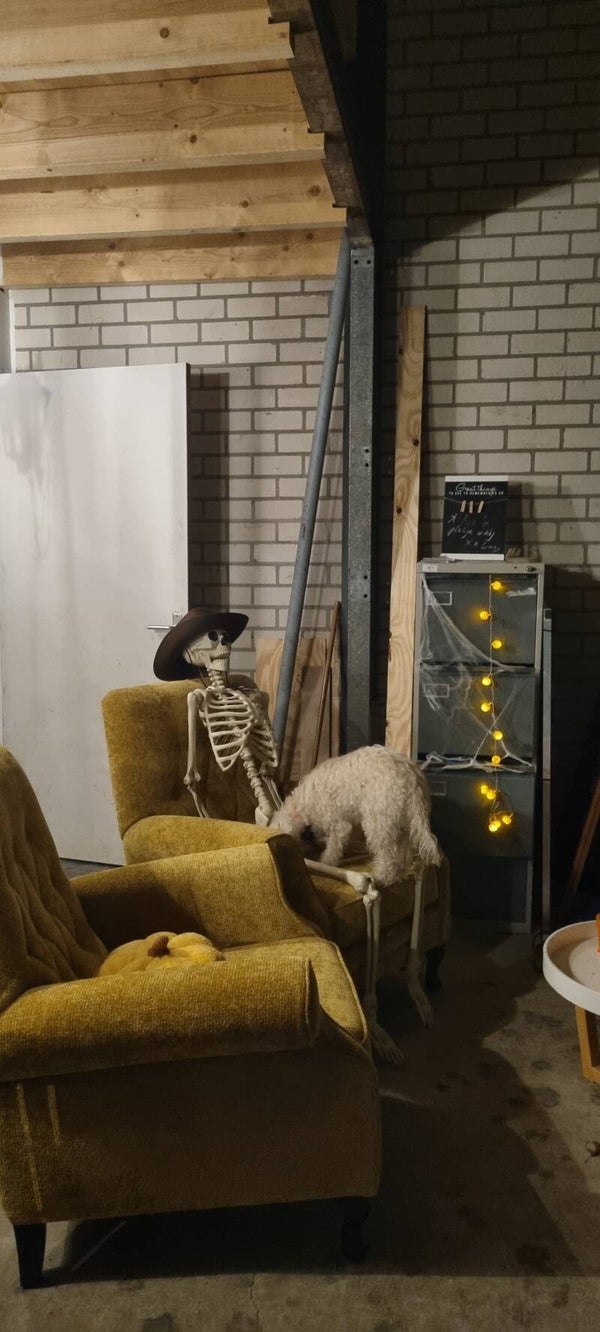🎃👻Reserveren Halloween Snuffel Avontuur (Basis)🧟🕯️op Donderdag 22 oktober 2026.