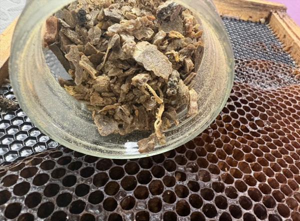 1 oz. of Propolis nuggets