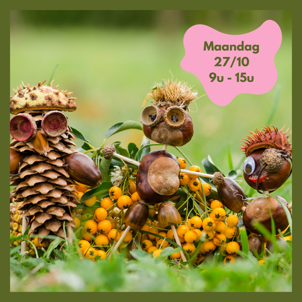 Herfstplezier 27/10