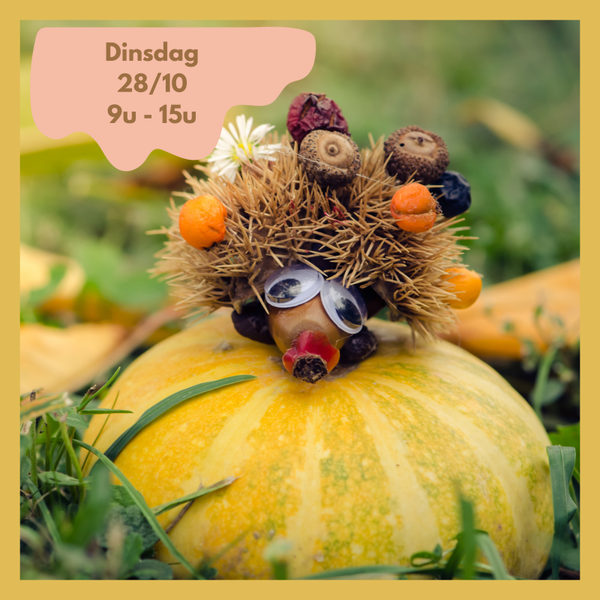 Herfstplezier 28/10