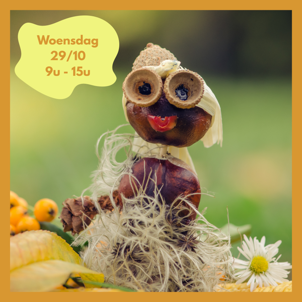 Herfstplezier 29/10
