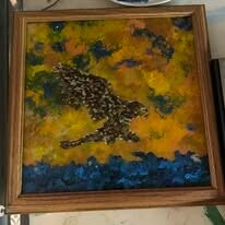 Falcon Fishing Midday