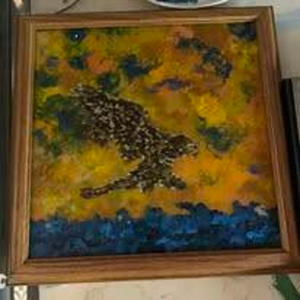 Falcon Fishing Midday