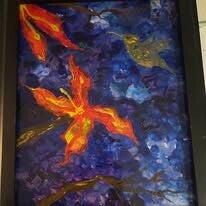 Calliope Hummingbird