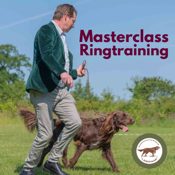 Masterclass Ringtraining