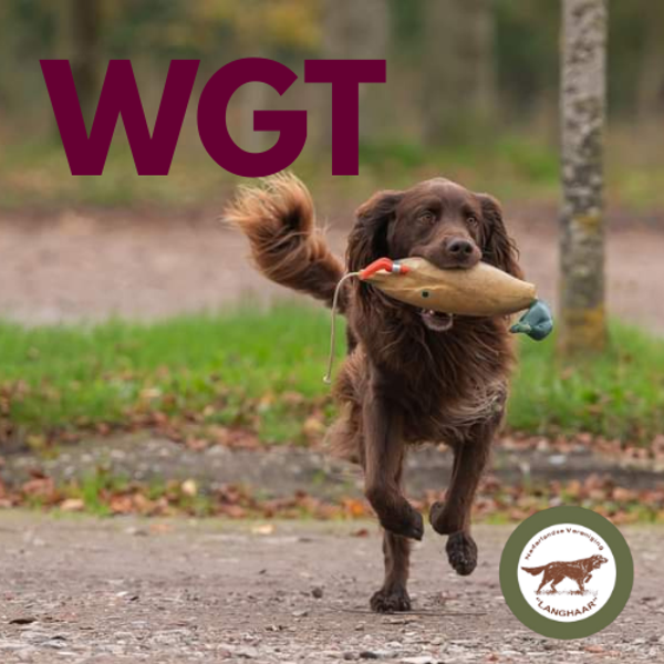 WGT Werkgeschiktheidstest