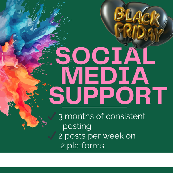 3 Month Social Media Package BLACK FRIDAY SPECIAL *pay monthly*