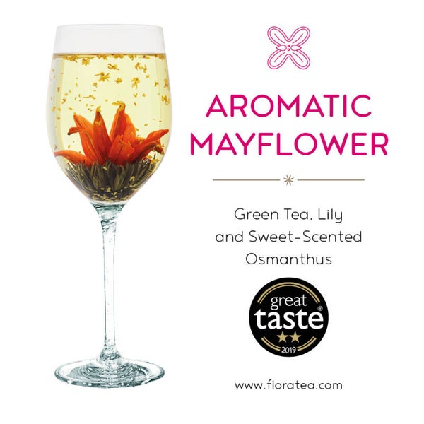 Theebloem "Aromatic Mayflower"