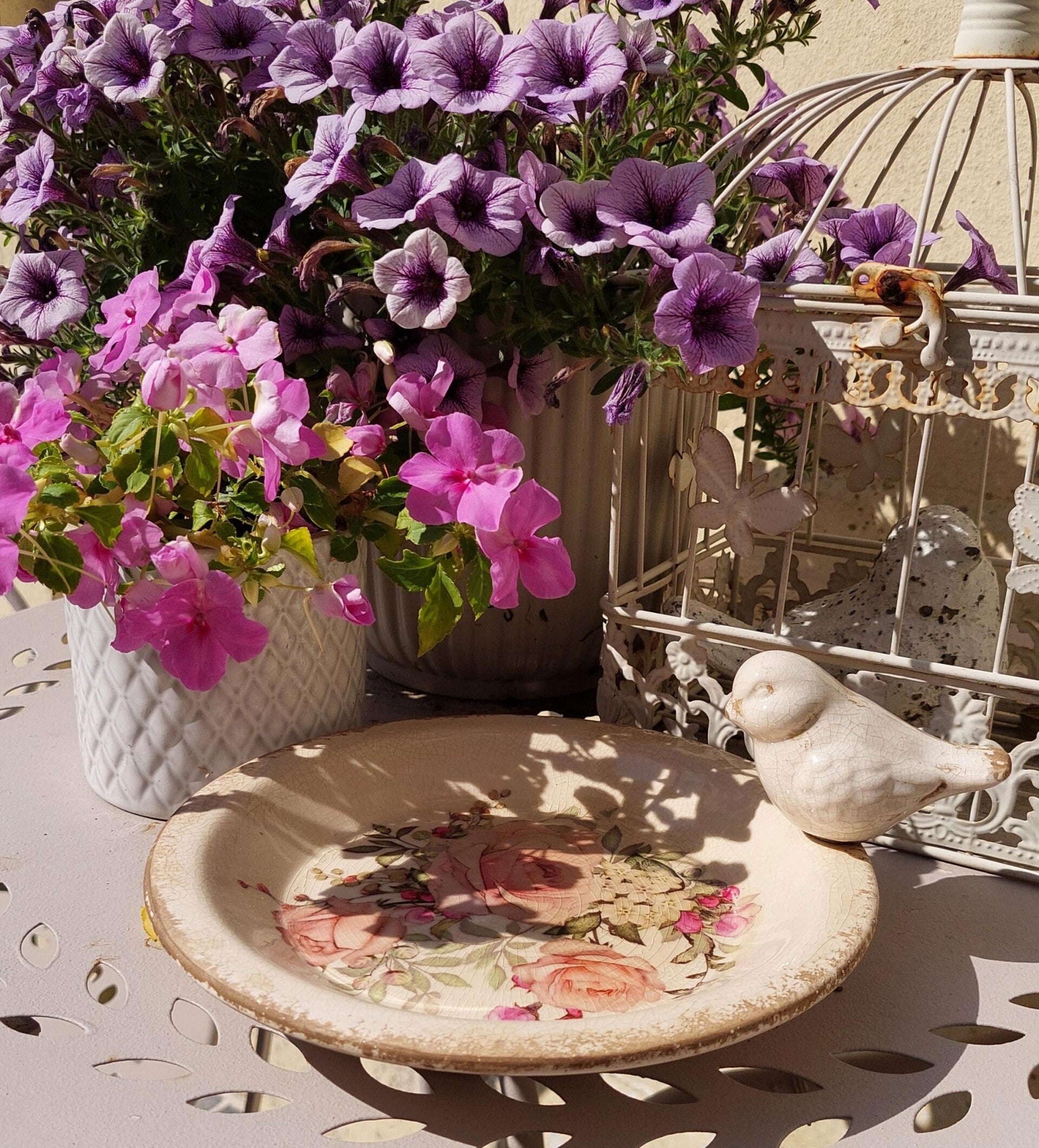 Assortiment Tuin