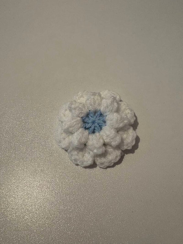 White and blue Flower