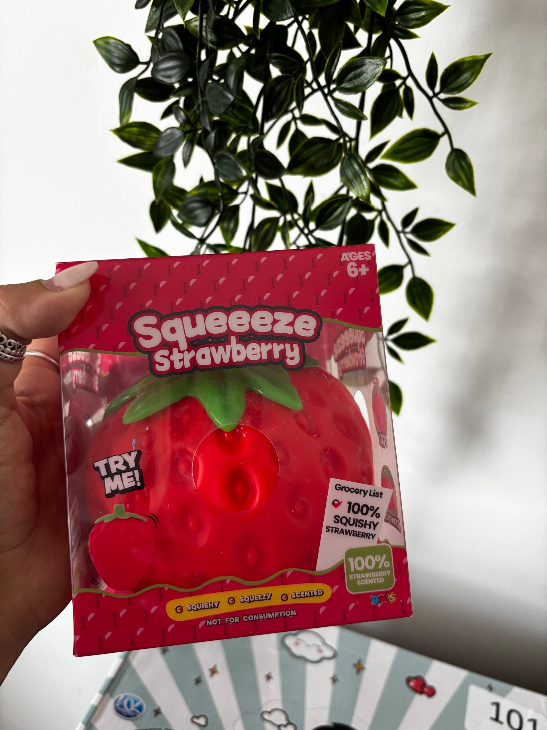 Jumbo strawberry squishy