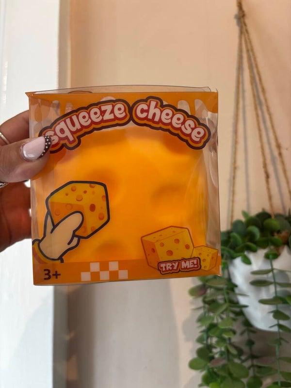 Jumbo cheese squishy