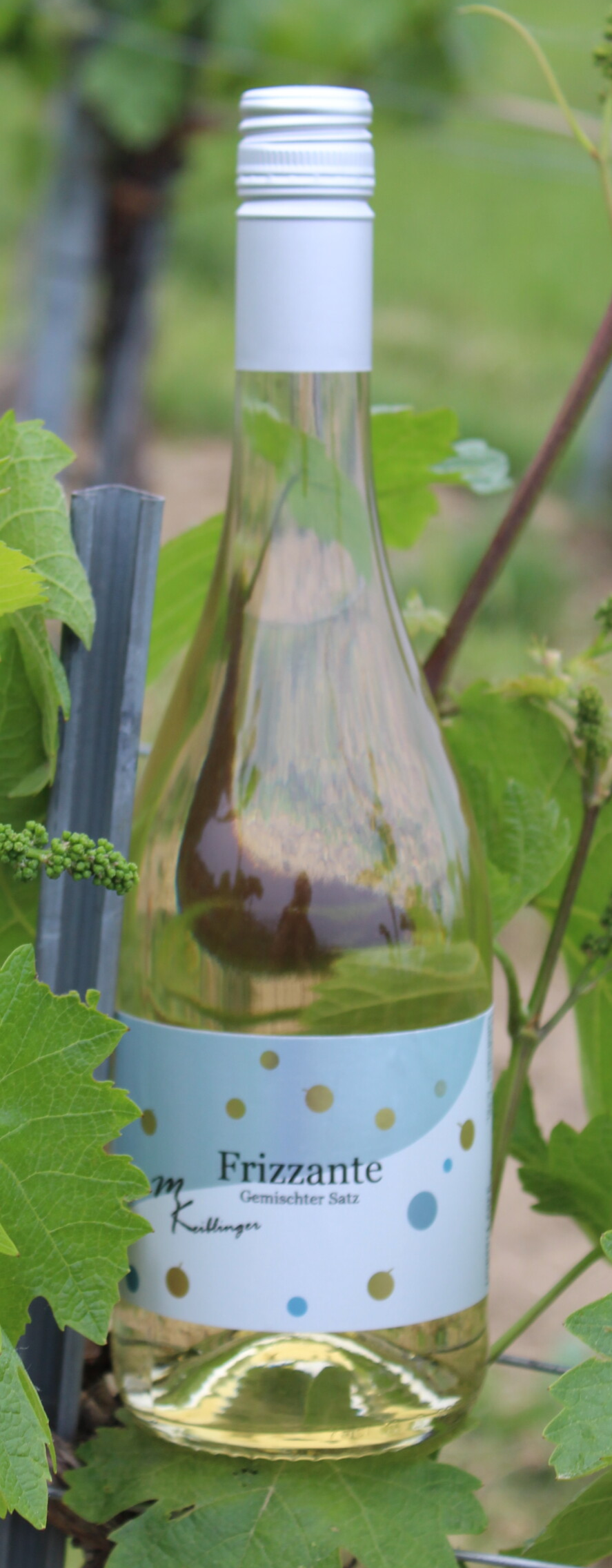 Frizzante Gemischter Satz