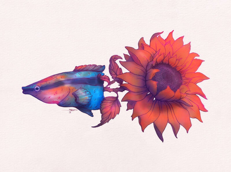 FLOW OF LIFE - CLEANER WRASSE