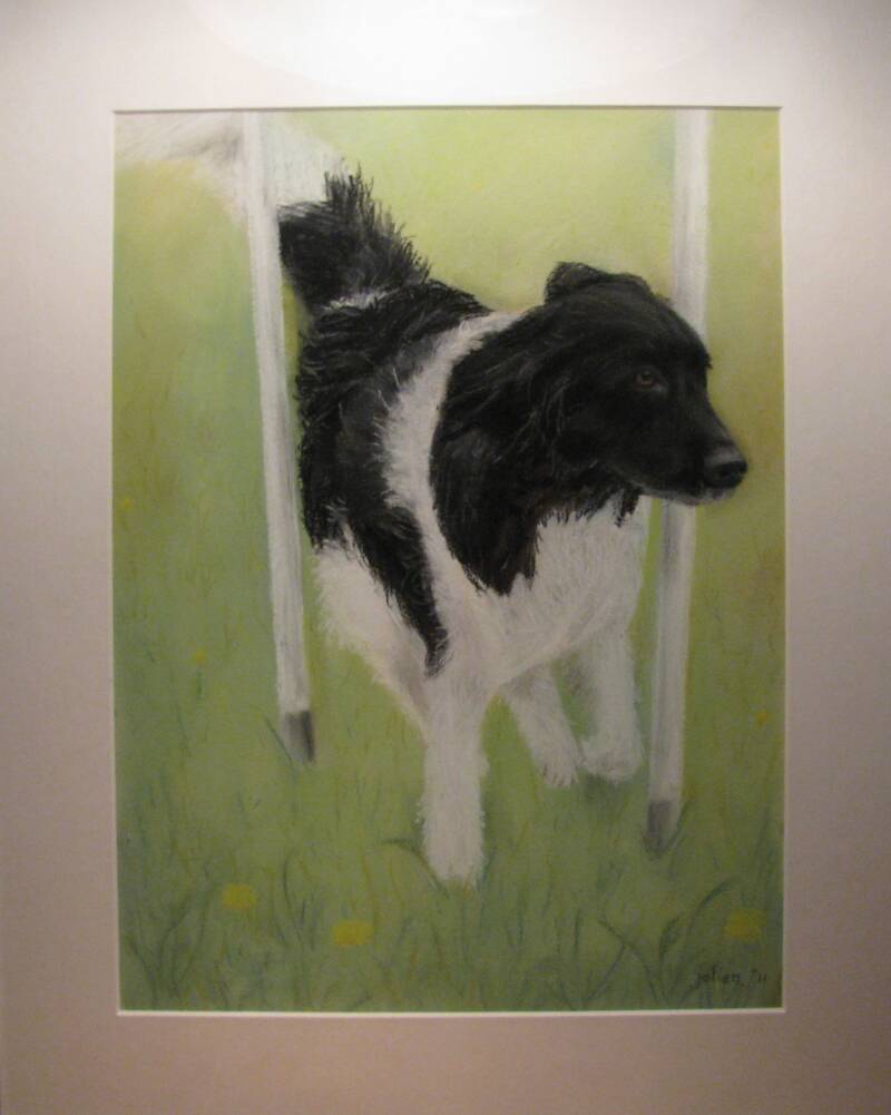 hond-standard.jpg