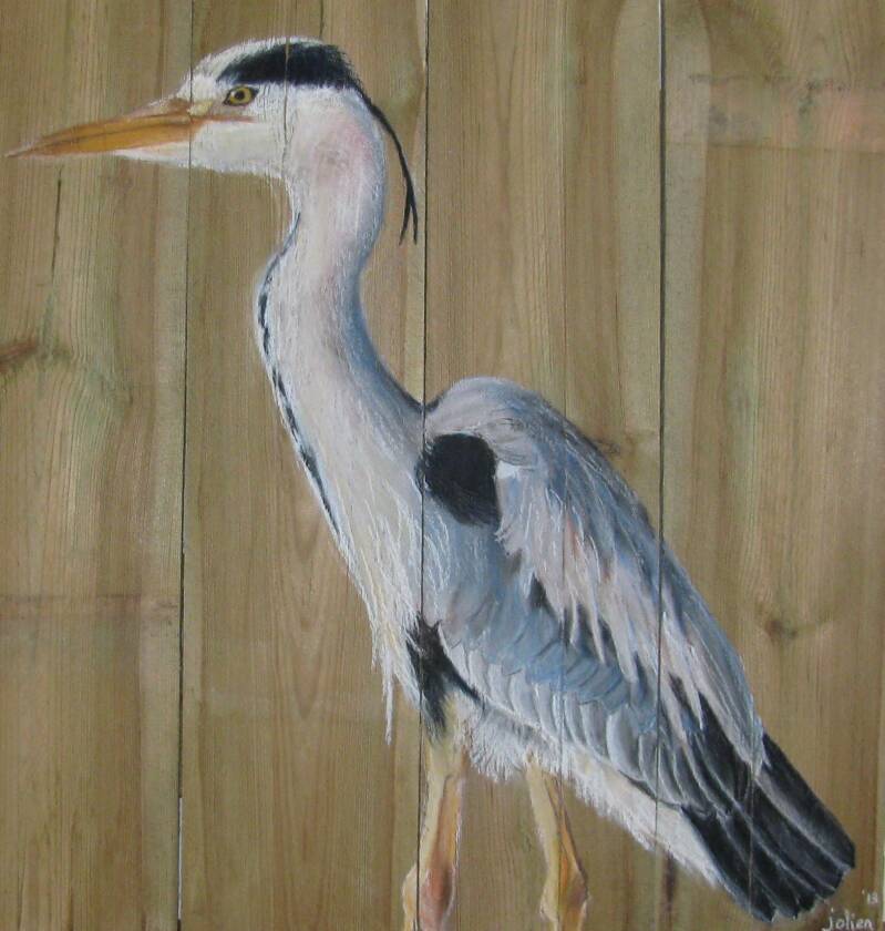 reiger-standard.jpg