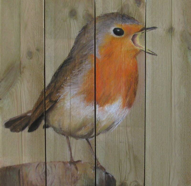 roodborst-op-stronk-standard.jpg