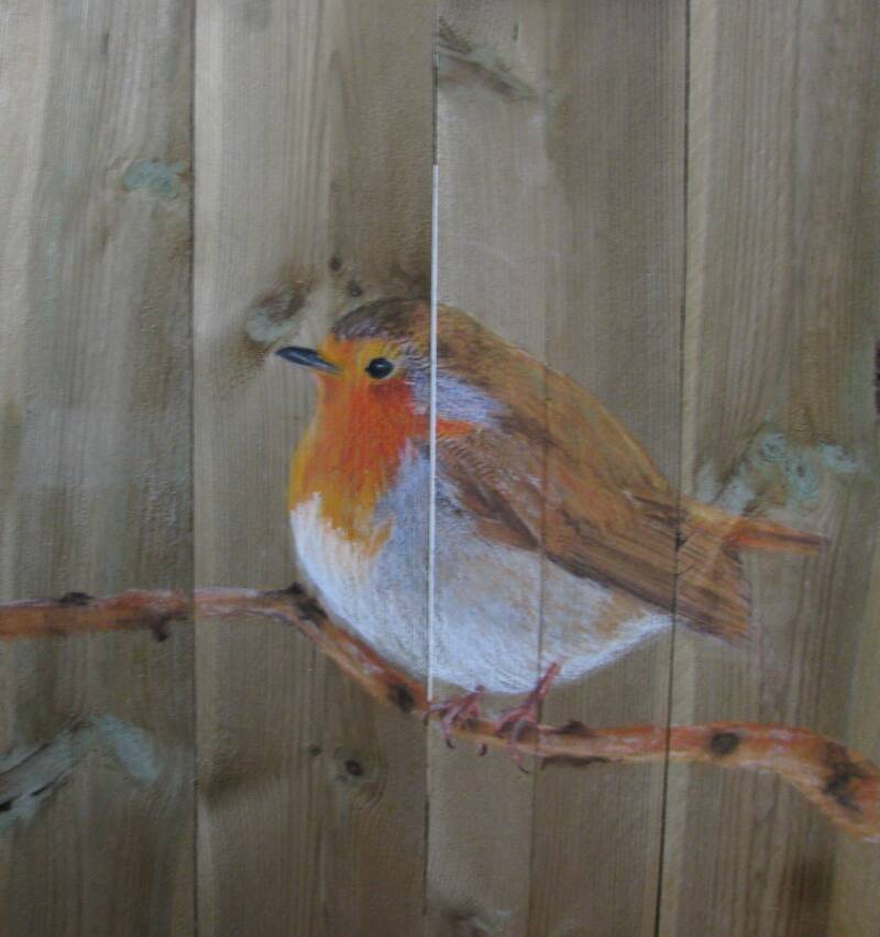 roodborst-op-tak-standard.jpg