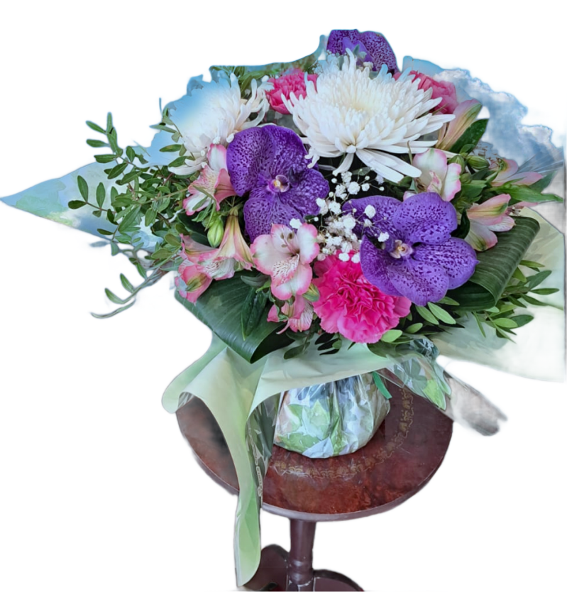creation-1_inpixio-3-standard-ff9nuq.png