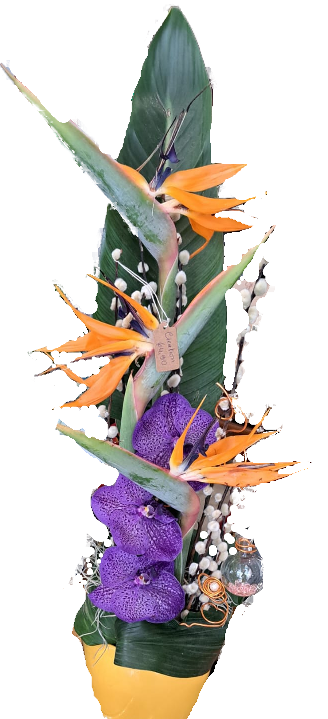 creation-4-png-standard-u87luv.png