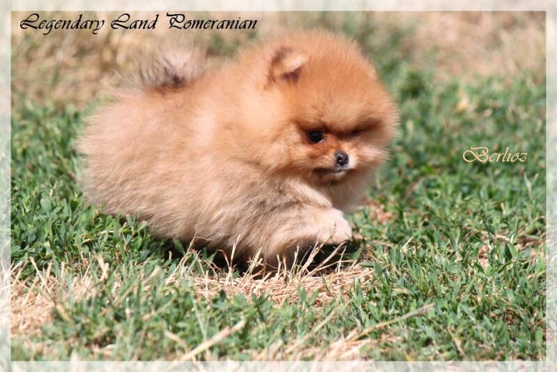 img_2356-standard.jpg