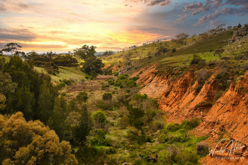 Australia's Wild Beauty