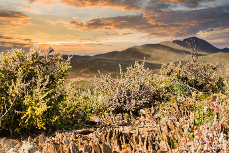 Sunset Across the Rugged Peaks