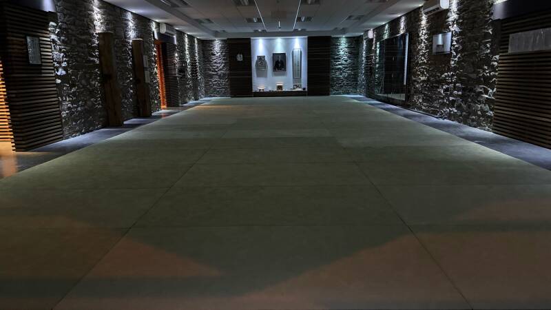 Sakura dojo aywaille aikido