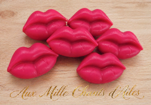 Fondants Parfumés Empreinte de lèvres à la fraise (X6)