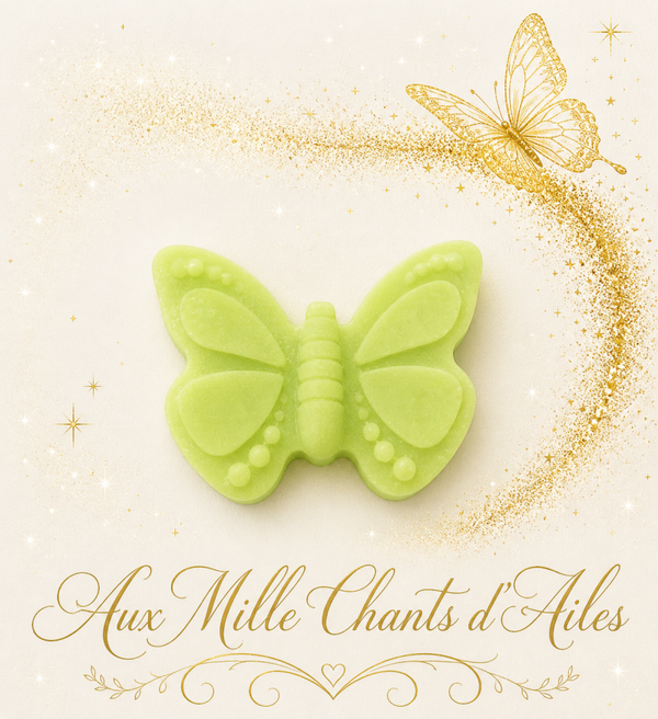 "Battements d'Ailes" Pistache Chocolat