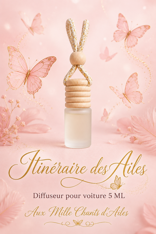 Diffuseur pour voiture "Itinéraire des Ailes"