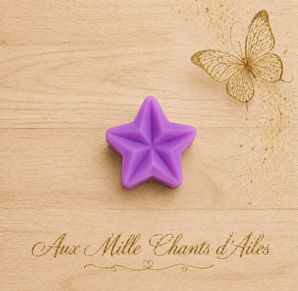 Astre des Ailes à la Violette