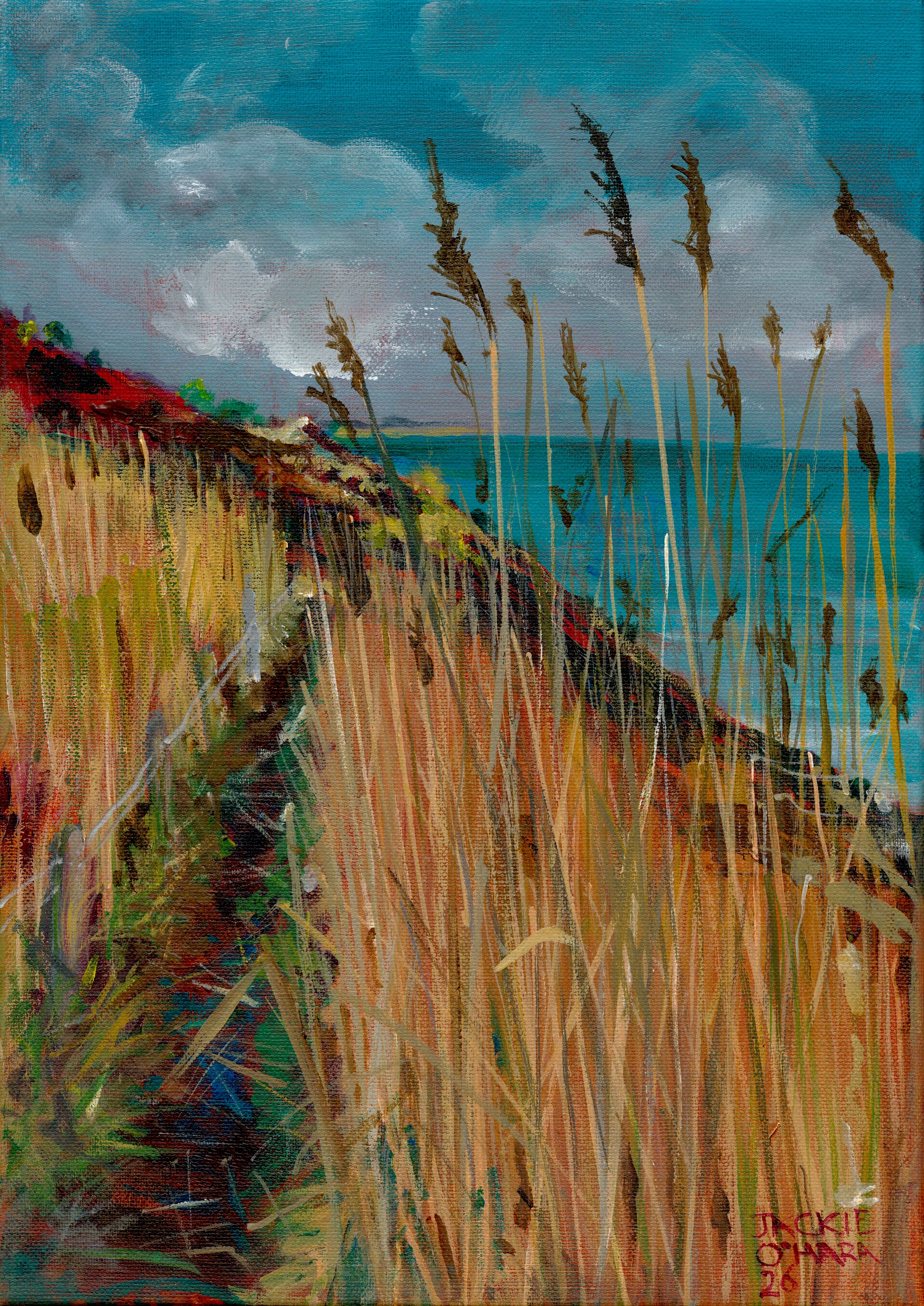 Grasses Maggie's Leap