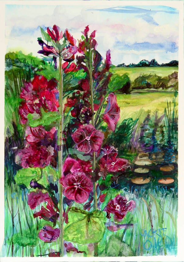 Hollyhocks Carlingford