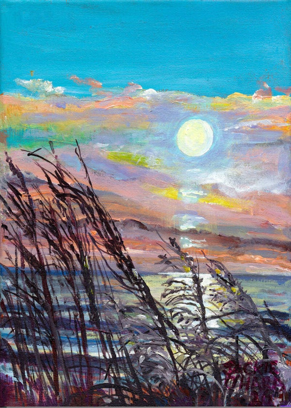 Sunset Grasses