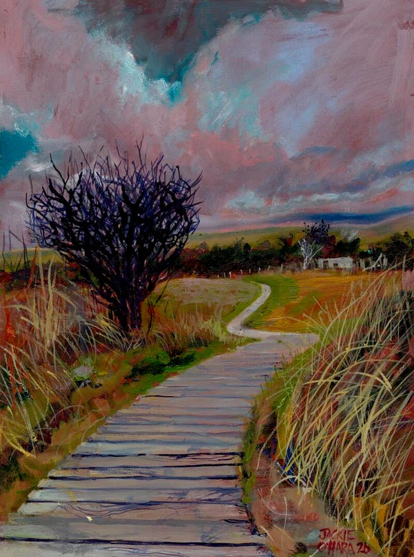 Murlough Boardwalk 1
