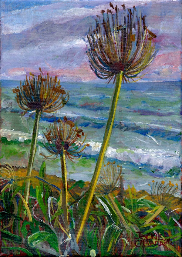 Allium Morning