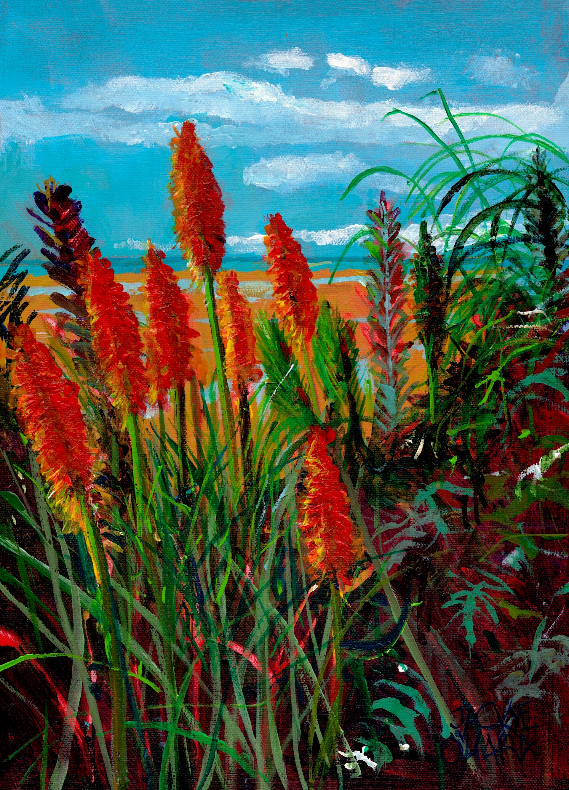 Red Hot Pokers at low tide