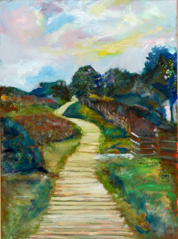 Murlough Boardwalk 2