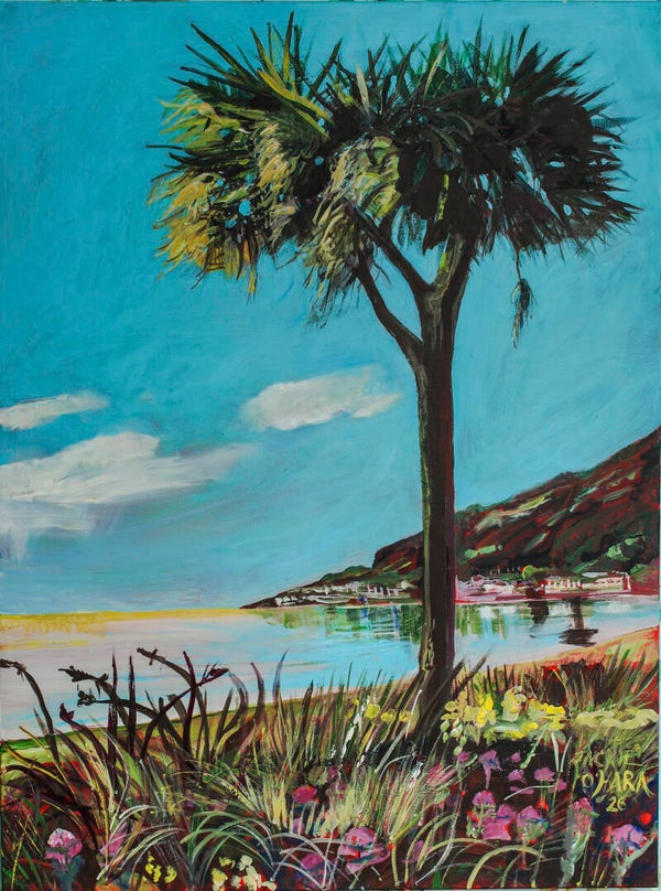 Palm Tree on fertile soil