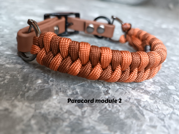 XS - S Starterspakket: 1 adapter + 2 modules