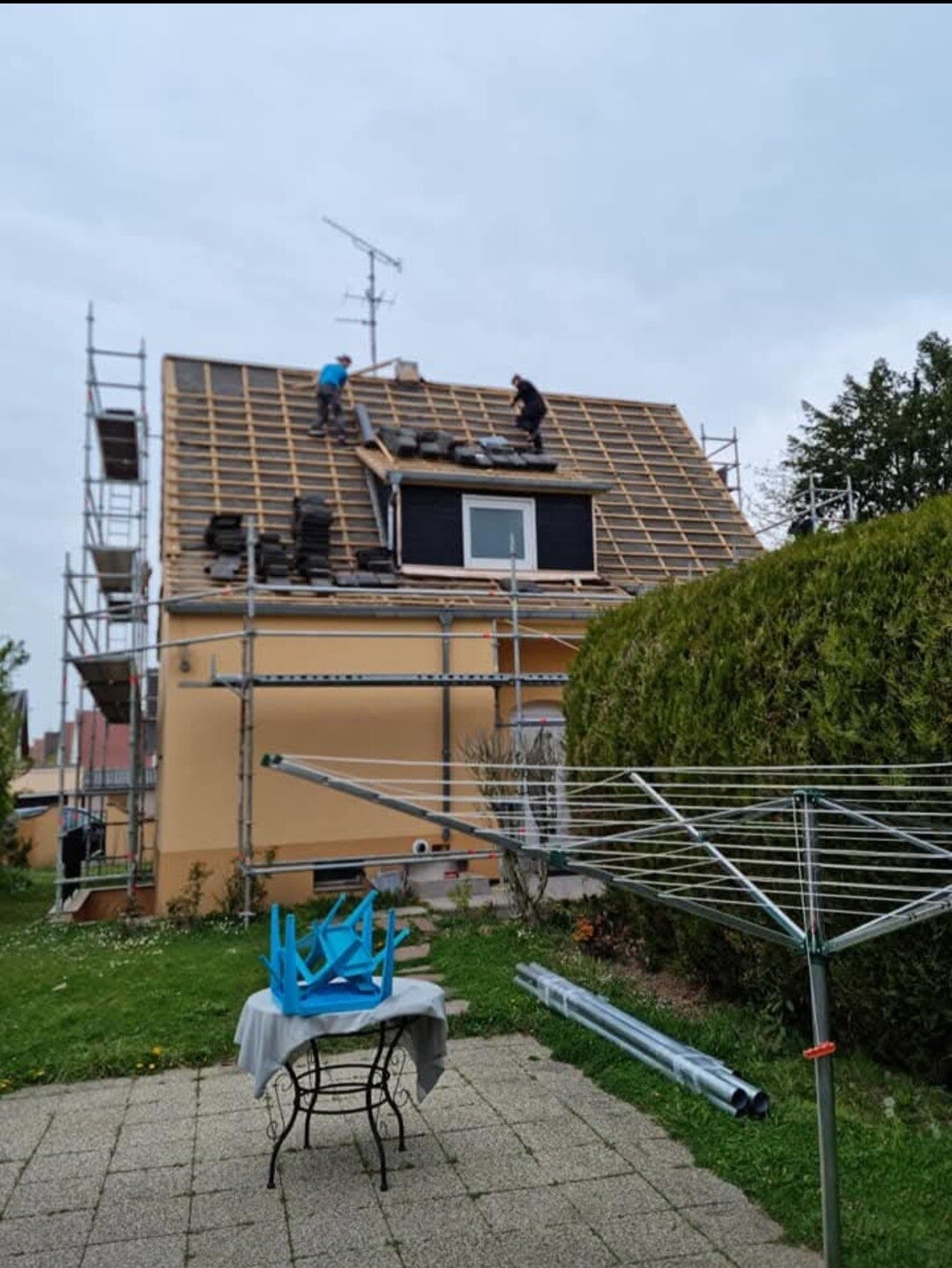 1000012156-standard-zcmo74.jpg