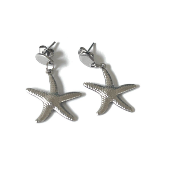 Kaia earrings silver