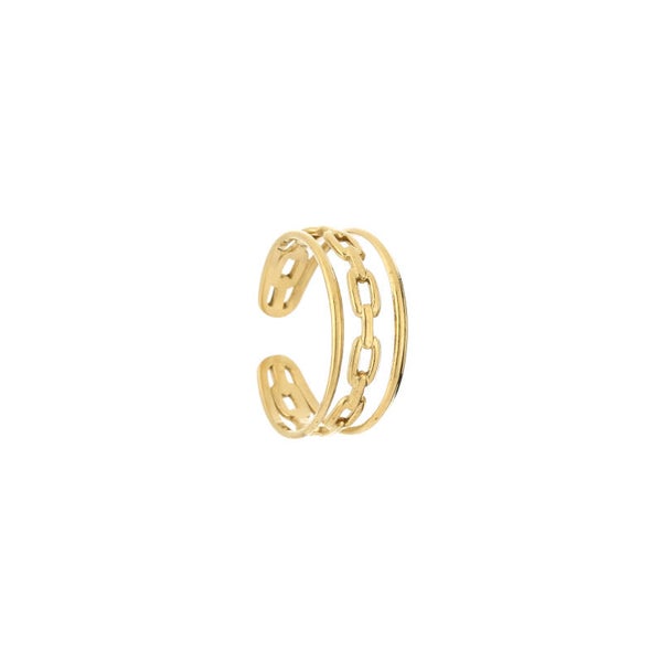 Paris ring gold