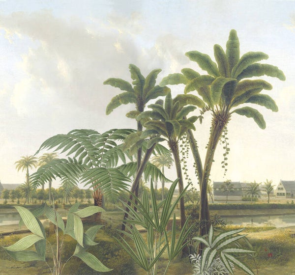 Vliesbehang repeterend 300 cm dessin Guadeloupe