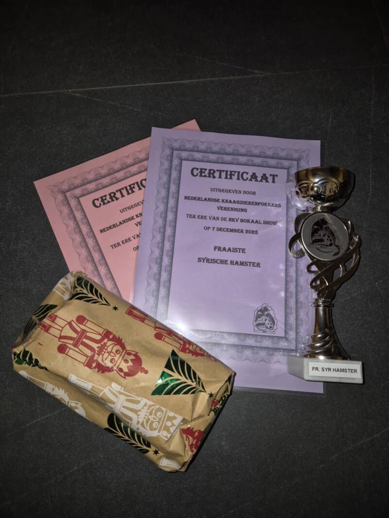 fraaiste-syrische-hamster-luc-schmitz-standard.jpg