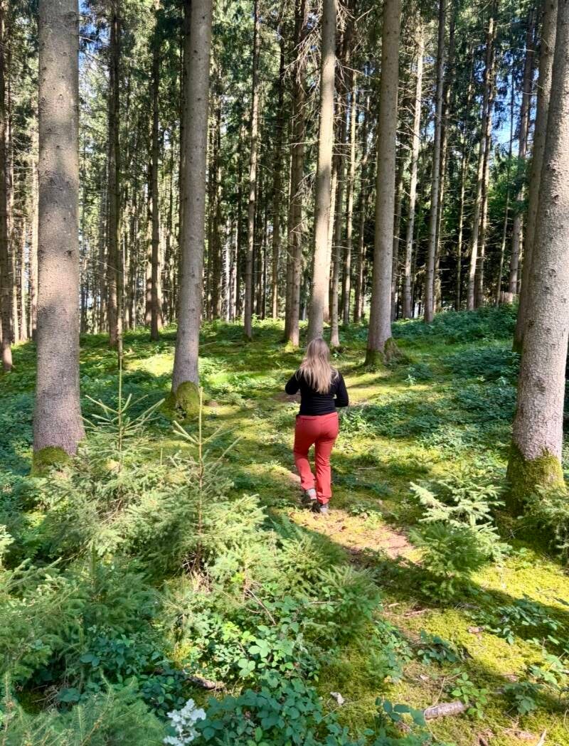 Schnupper Waldbadenkurs 13.06.2026
