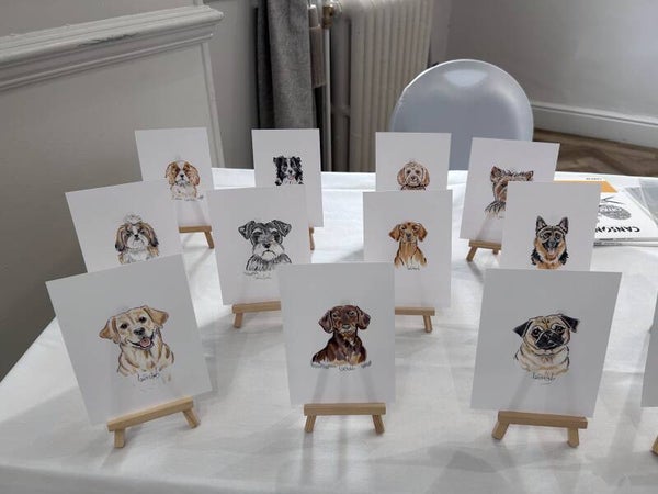 PET ILLUSTRATIONS